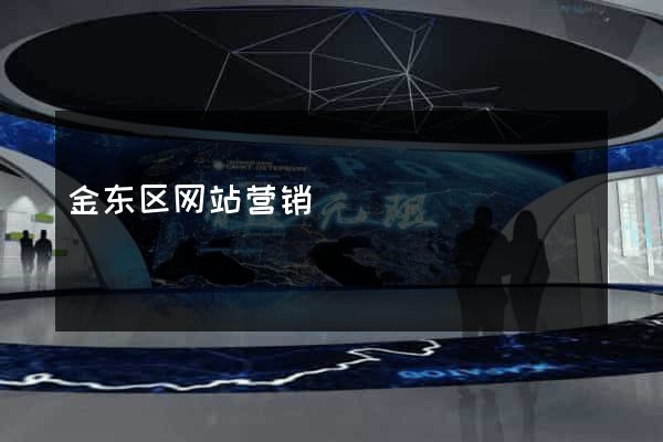 金东区网站营销