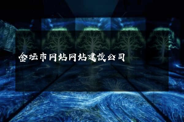 金坛市网站网站建设公司