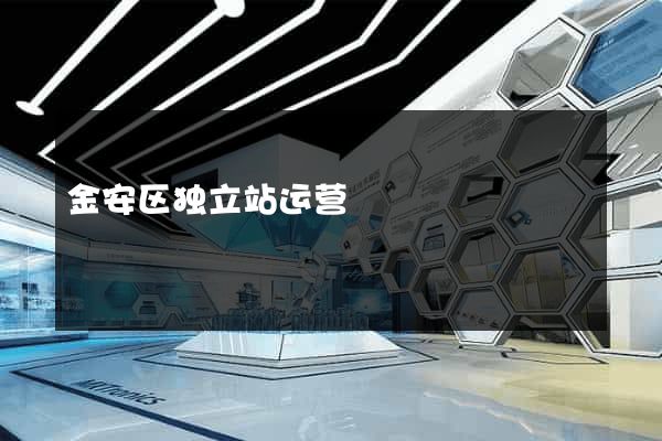 金安区独立站运营