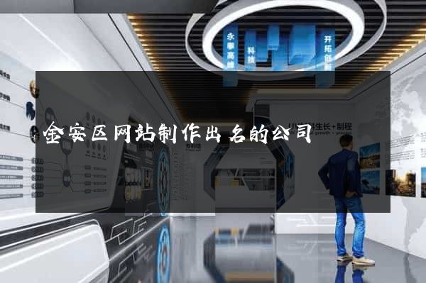 金安区网站制作出名的公司