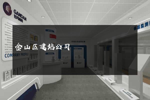 金山区建站公司