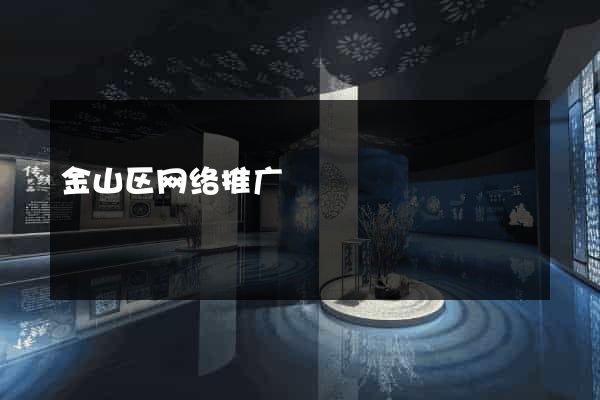 金山区网络推广