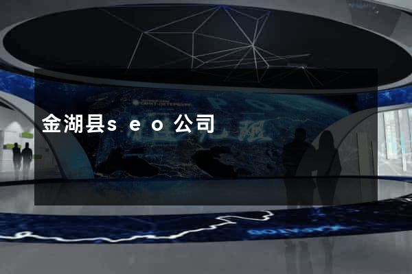 金湖县seo公司