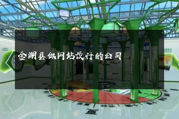 金湖县做网站设计的公司