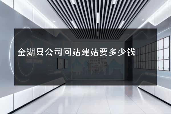 金湖县公司网站建站要多少钱