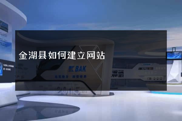 金湖县如何建立网站