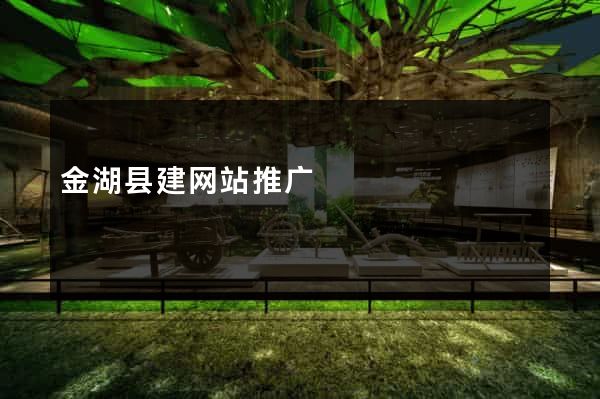金湖县建网站推广