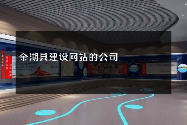 金湖县建设网站的公司