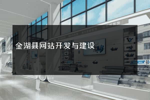 金湖县网站开发与建设