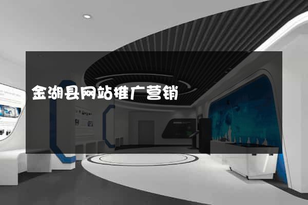 金湖县网站推广营销