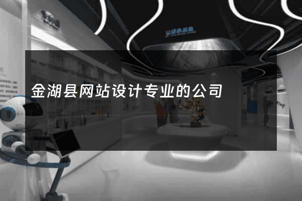 金湖县网站设计专业的公司