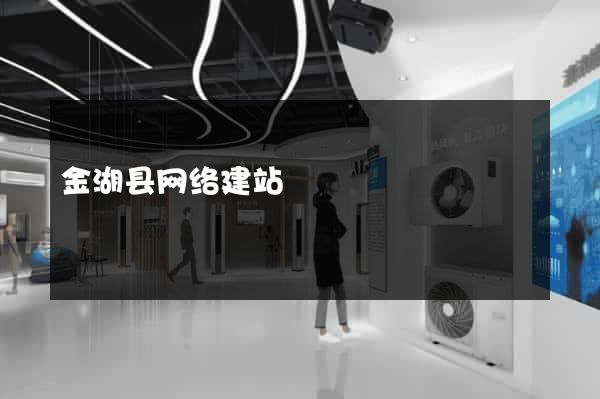 金湖县网络建站