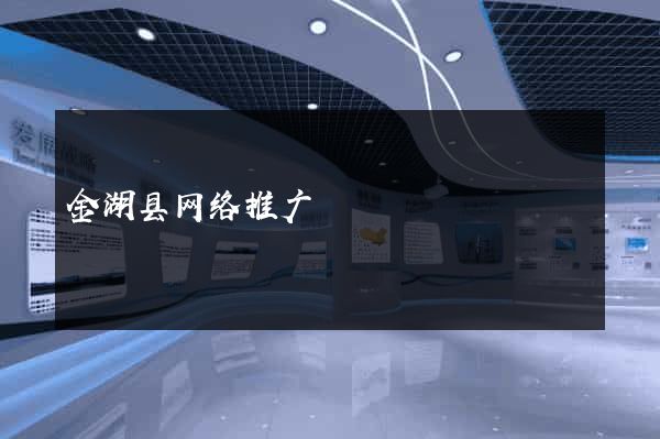 金湖县网络推广