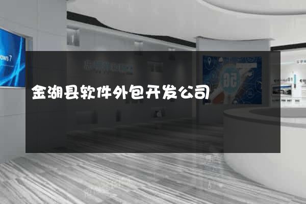 金湖县软件外包开发公司
