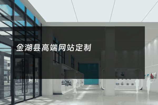 金湖县高端网站定制