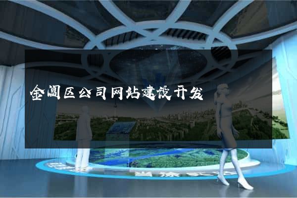 金阊区公司网站建设开发