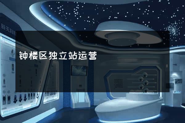 钟楼区独立站运营