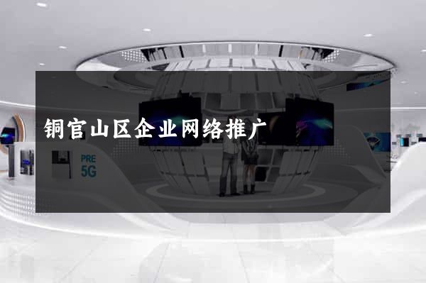 铜官山区企业网络推广
