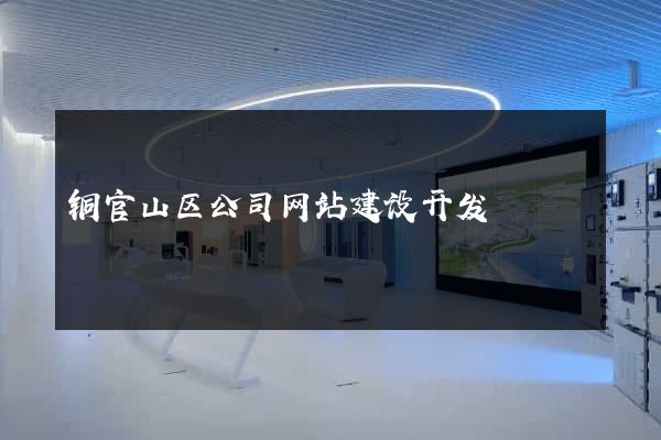 铜官山区公司网站建设开发