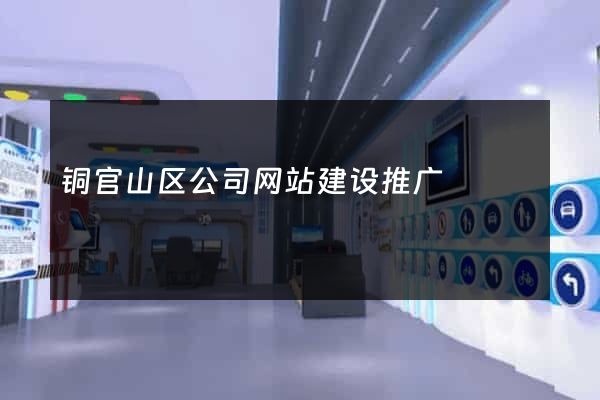 铜官山区公司网站建设推广