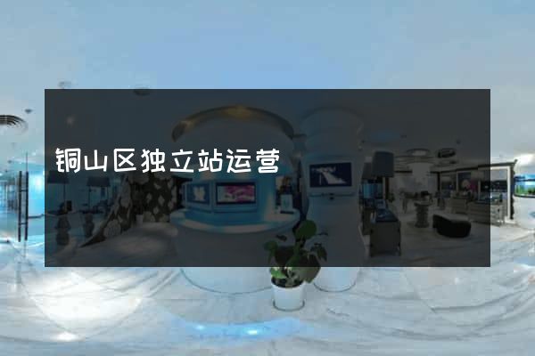 铜山区独立站运营