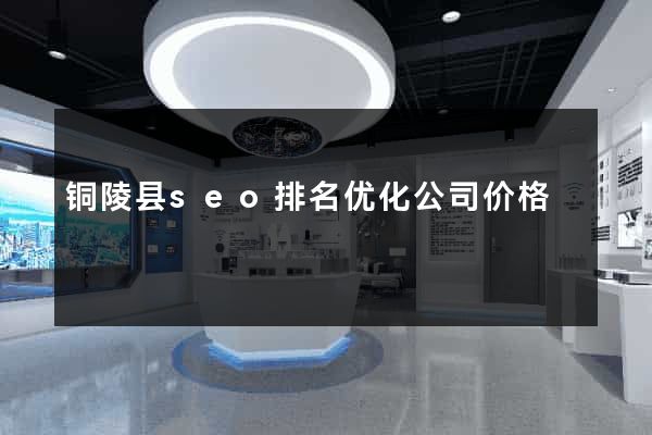 铜陵县seo排名优化公司价格