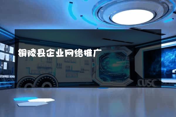铜陵县企业网络推广