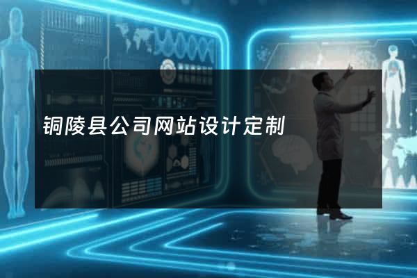 铜陵县公司网站设计定制