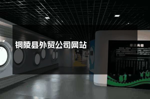 铜陵县外贸公司网站