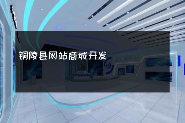 铜陵县网站商城开发