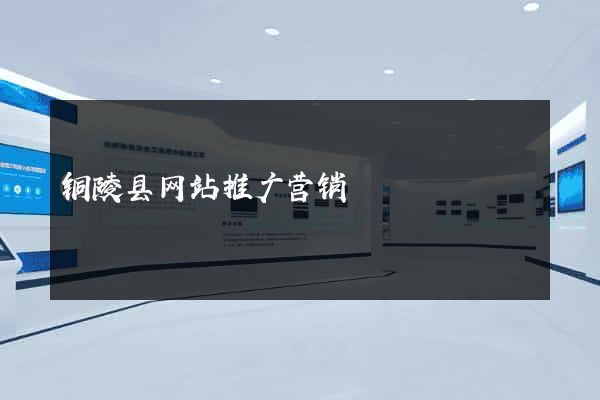 铜陵县网站推广营销