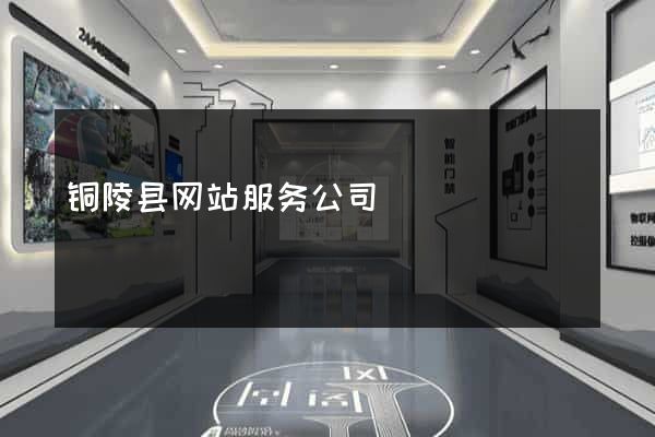铜陵县网站服务公司