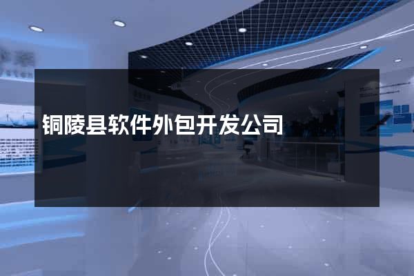 铜陵县软件外包开发公司