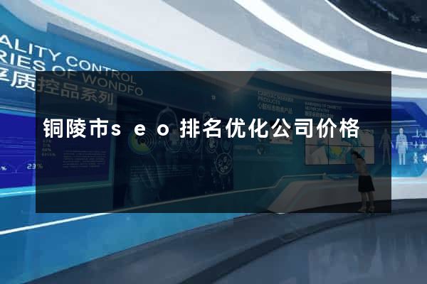 铜陵市seo排名优化公司价格