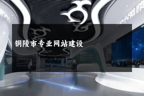 铜陵市专业网站建设