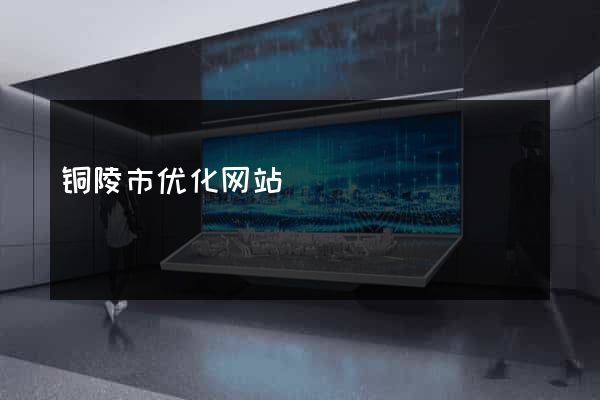 铜陵市优化网站