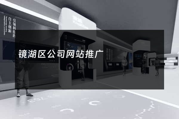 镜湖区公司网站推广