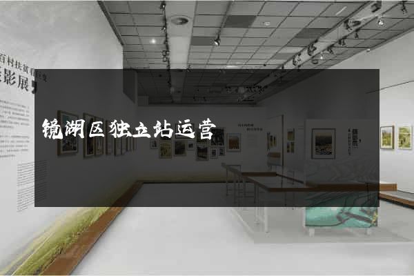 镜湖区独立站运营