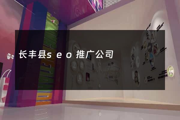 长丰县seo推广公司