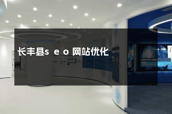 长丰县seo网站优化