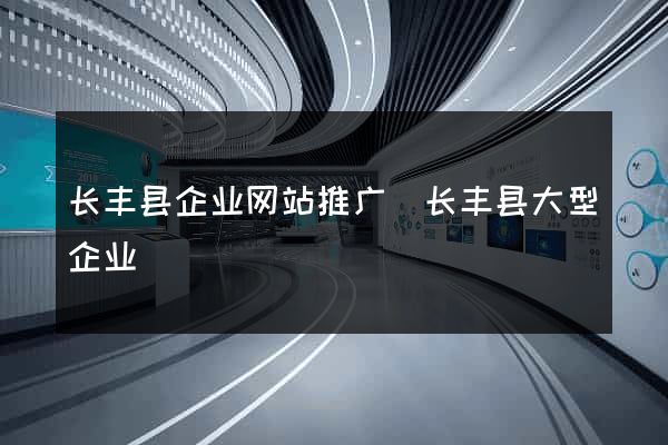 长丰县企业网站推广(长丰县大型企业)