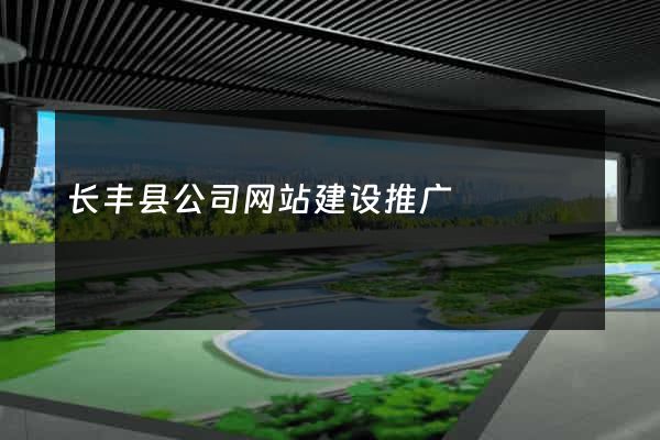 长丰县公司网站建设推广