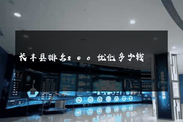长丰县排名seo优化多少钱