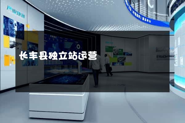 长丰县独立站运营