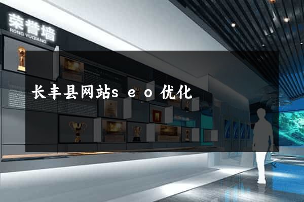 长丰县网站seo优化
