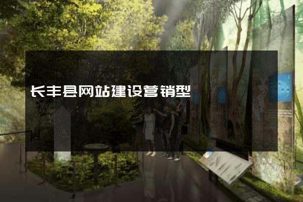 长丰县网站建设营销型