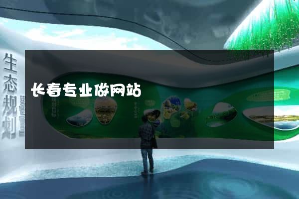长春专业做网站