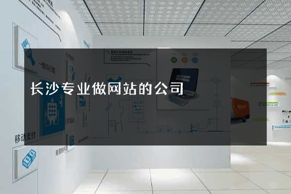 长沙专业做网站的公司
