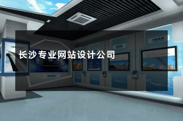 长沙专业网站设计公司