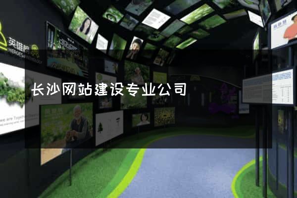 长沙网站建设专业公司